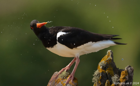 Lawrence Keen (test)