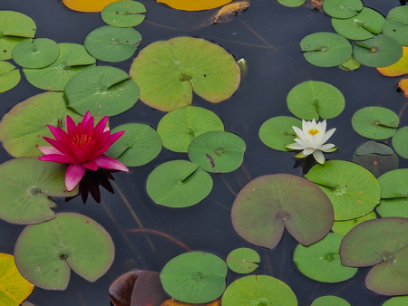 Fred Blogs (RH Test) TEST ACCOUNT(RH)