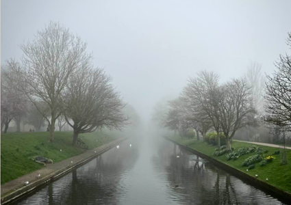 2026 Post a Pic - Images of the week