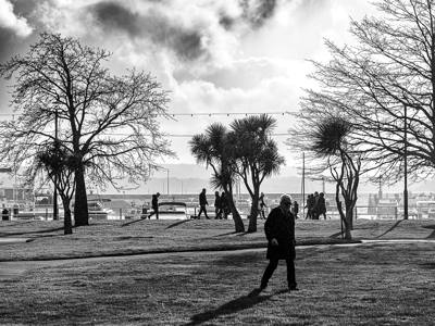 Raining in the Park of the Bay