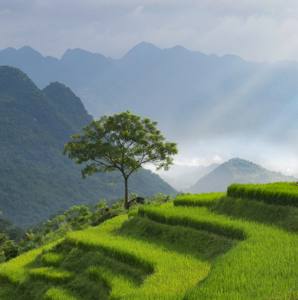 2025 Print Finals Night