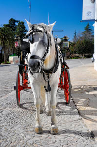 2022-23 season comp Transport