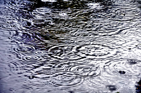 2025-26 April Monthly Challenge gallery header