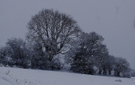 Snowy day down the Nant.