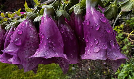 2024-25 season Comp Macro