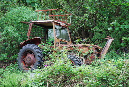 Silver Award: Seen Better Days