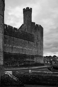 The castle dominating the town