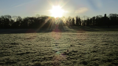 Sunny frosty morning at Erddig