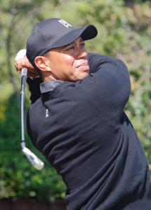 Bronze award: Tiger at the Open