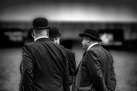 Shire Horse Society Judges