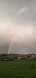 After the rain