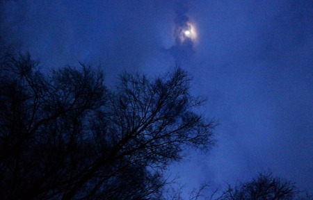 Looking at the moon light_pe