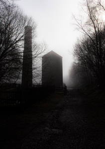 Silhouette gallery header