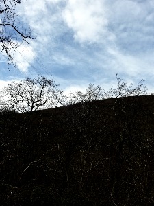 Modern life encroaching