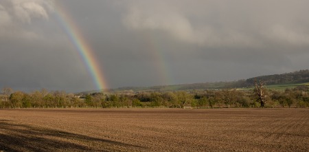 April Shower