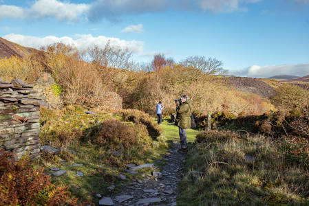 Other members in the sunshine