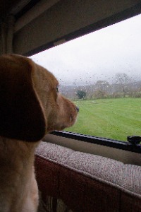 Waiting for walkies