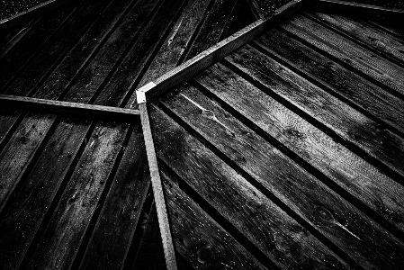 Erddig plantless display