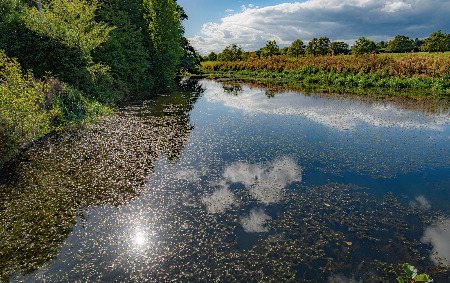Mill Pond