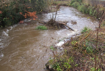 Flooded River Clywedog at Felin Puleston