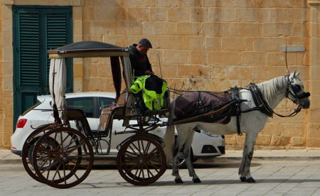 Gold award: One Horsepower