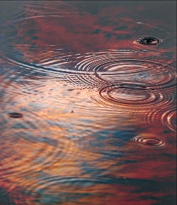 Orange Circles and Drops