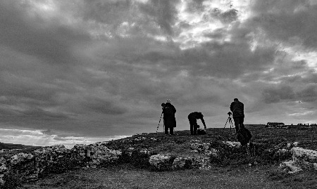 Silhouetted Snappers