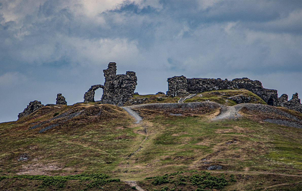 dinas bran