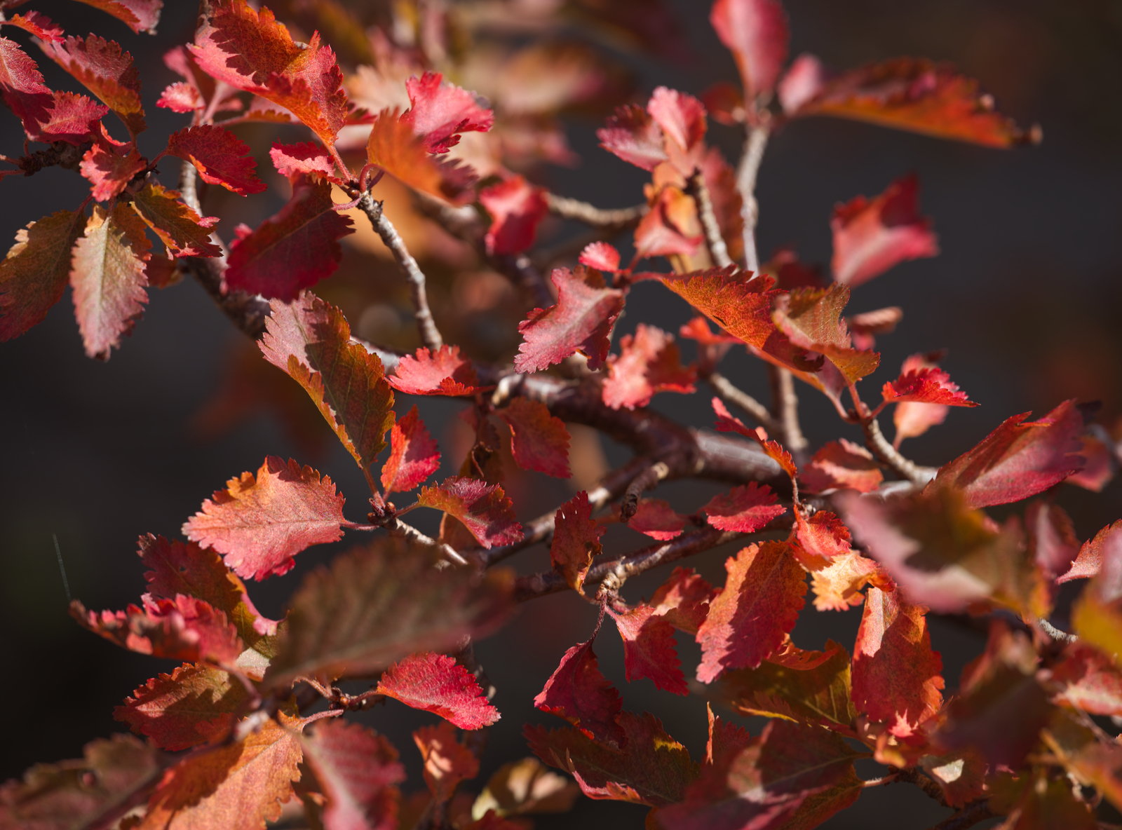 Autumn is here