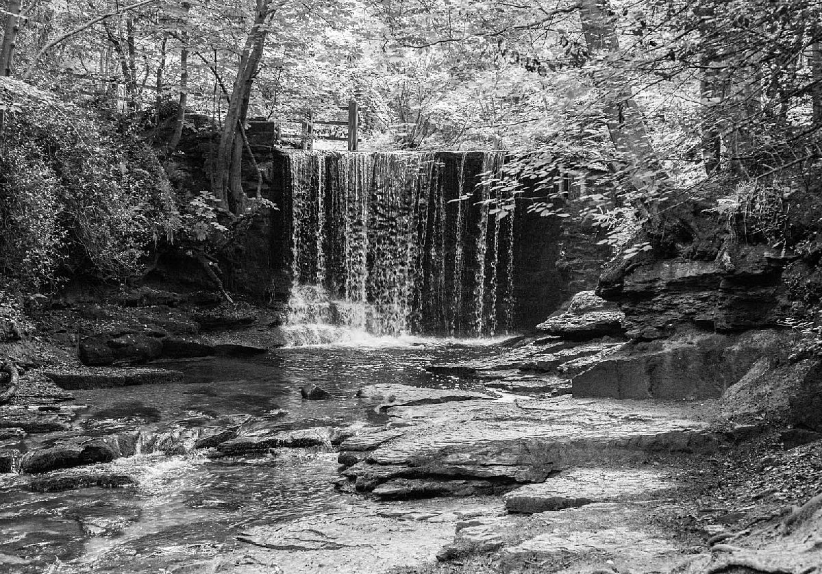 Plas Power Woods Bersham