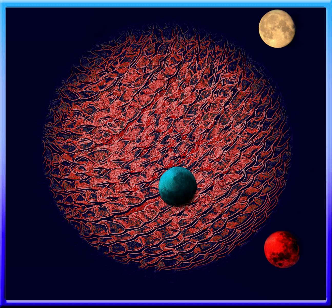 Taken with a very long lens!