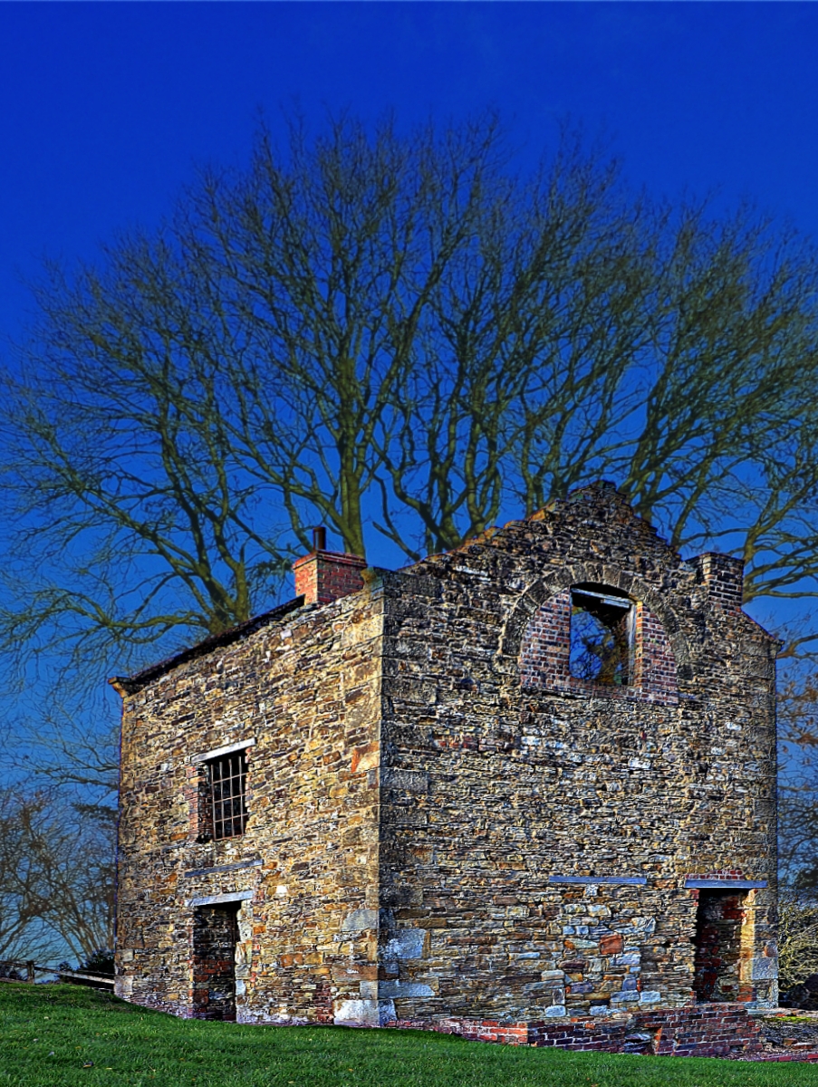 Old pump house and tree