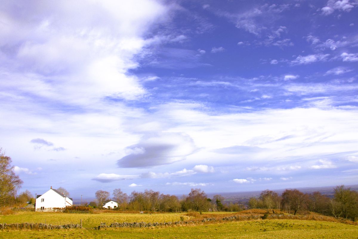 Cottage in the country