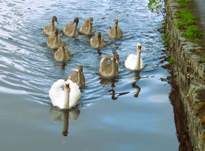 Family on the Montgomery Canal