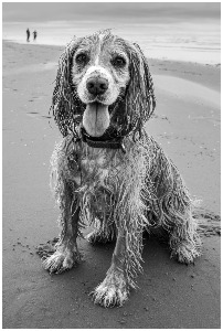 Who said I'm scruffy