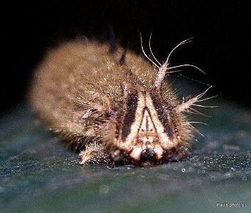 I know I'm not pretty, but I'm important