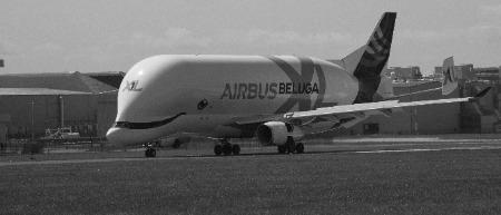 The World Flies on our Wings