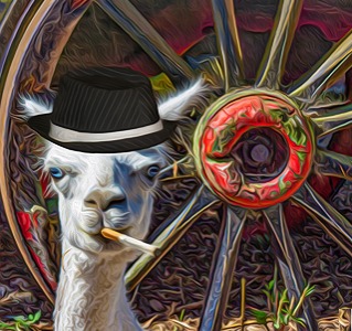 Alpacapone (Composite/Artistic)