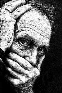 Image of the year competition gallery