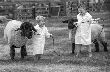 Young farmers fun Winner Mono print Open 1