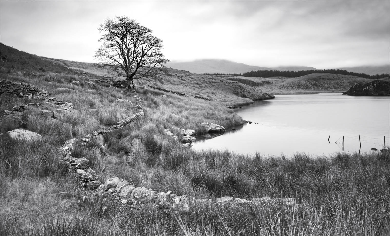Llyn Dywarchen by Eirian Jones Llyn Dywarchen