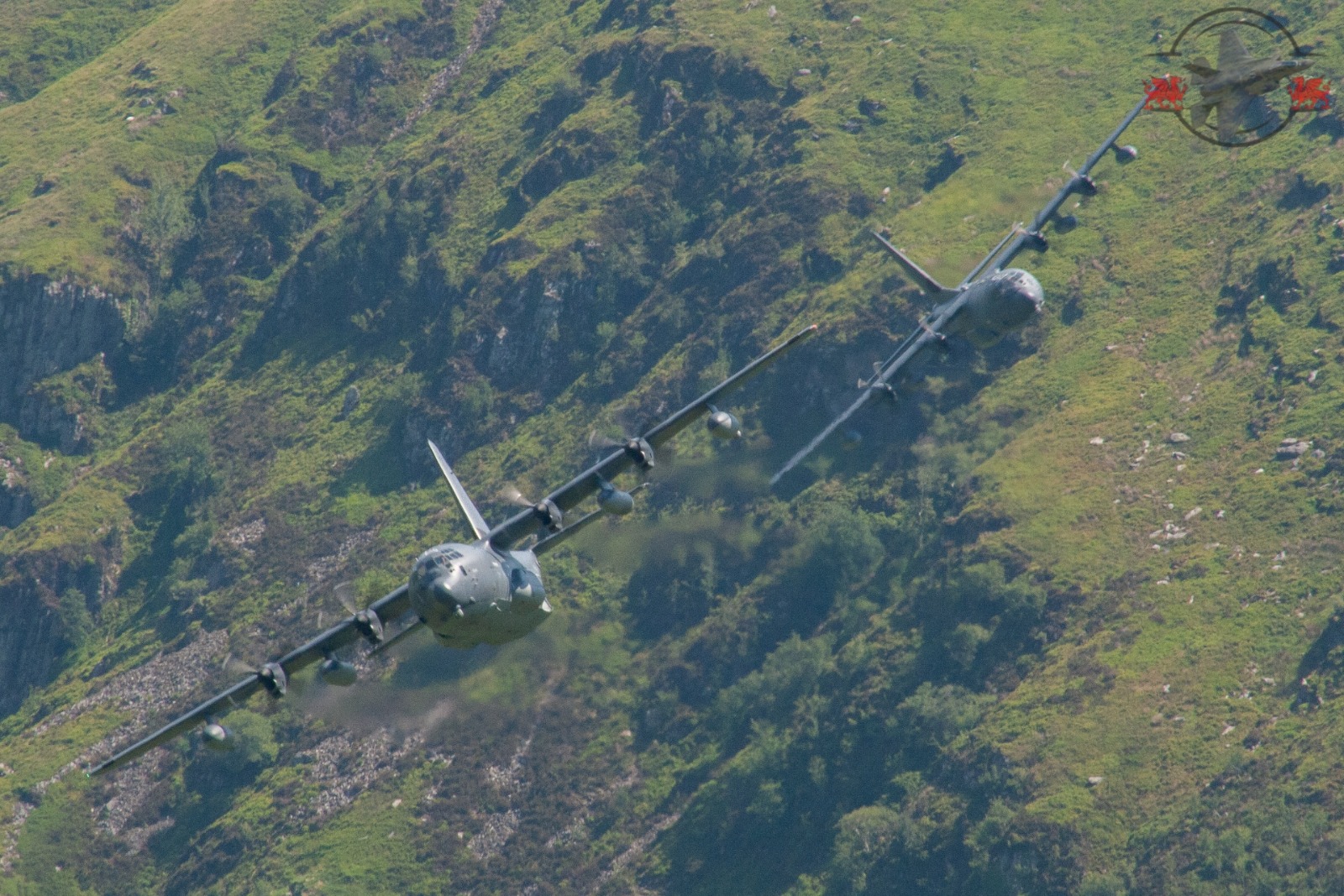 Tail Chasing C130's