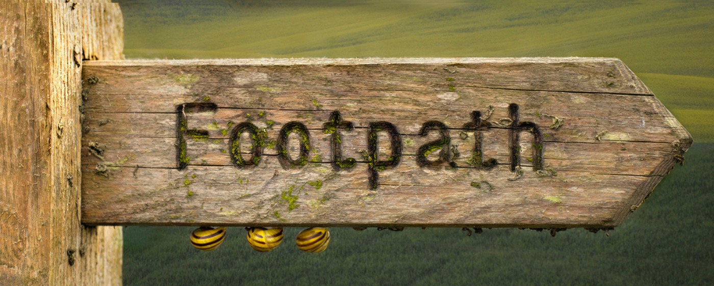 walking at a snails pace