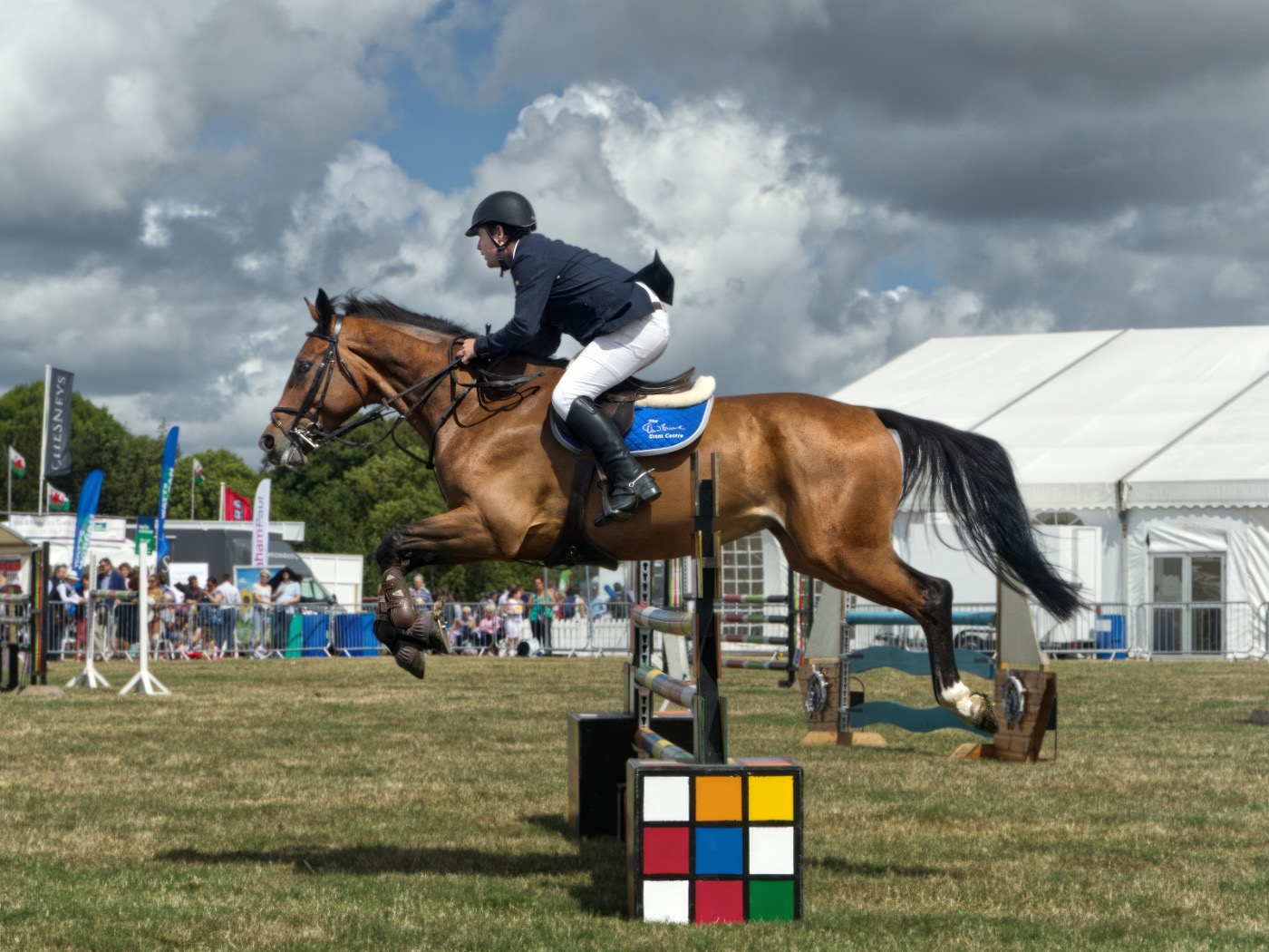 One more fence to go