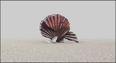 The Aldeburgh Scallop 10/10
