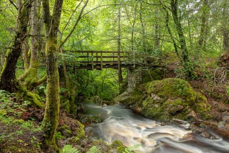 Bridge over Troubled Waters 10/10
