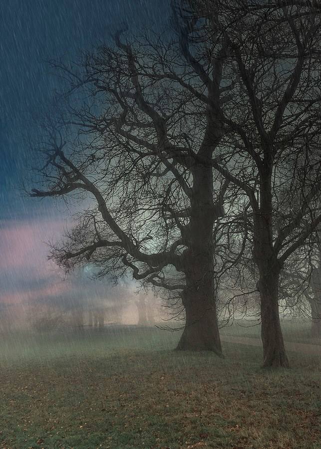 Weather