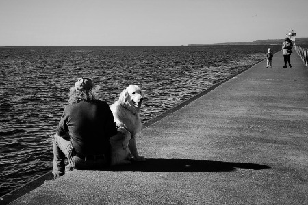 Sitting on the dock