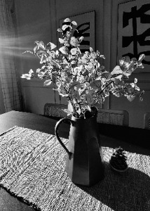 Morning light on Pitcher