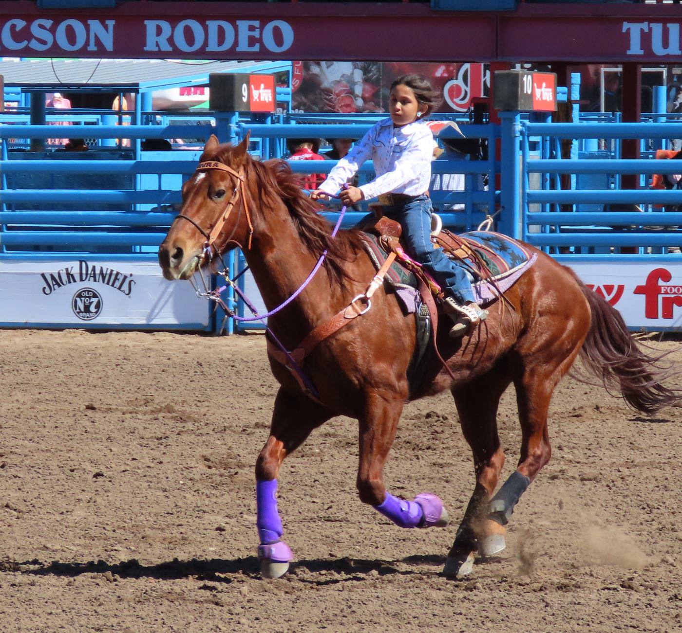2026 Rodeo by Cathy Simmons 2026 Rodeo